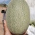 新疆落地哈密瓜大量上市，欢迎各位采购员订购！新疆光星水果