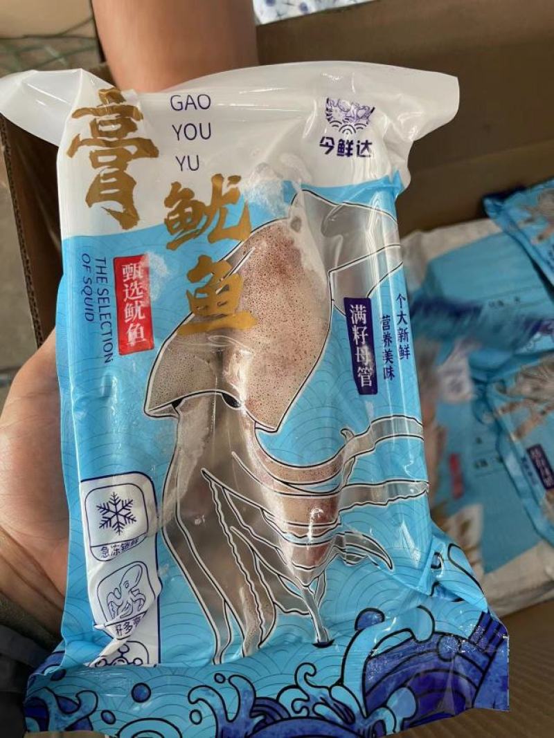 膏鱿鱼满籽鱿鱼母鱿母管带膏鱿鱼金字招牌品质保证