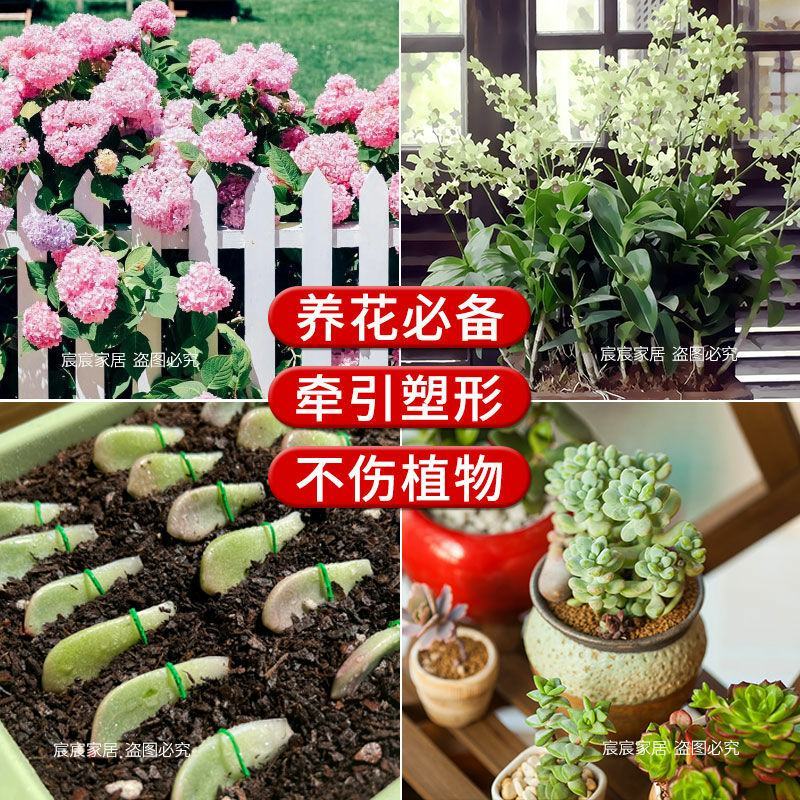 铁丝园艺捆扎线扎带铁丝线花杆花架爬藤架绿植捆绑固定扎丝细