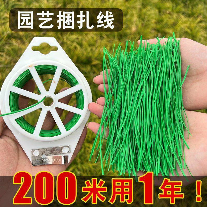 铁丝园艺捆扎线扎带铁丝线花杆花架爬藤架绿植捆绑固定扎丝细