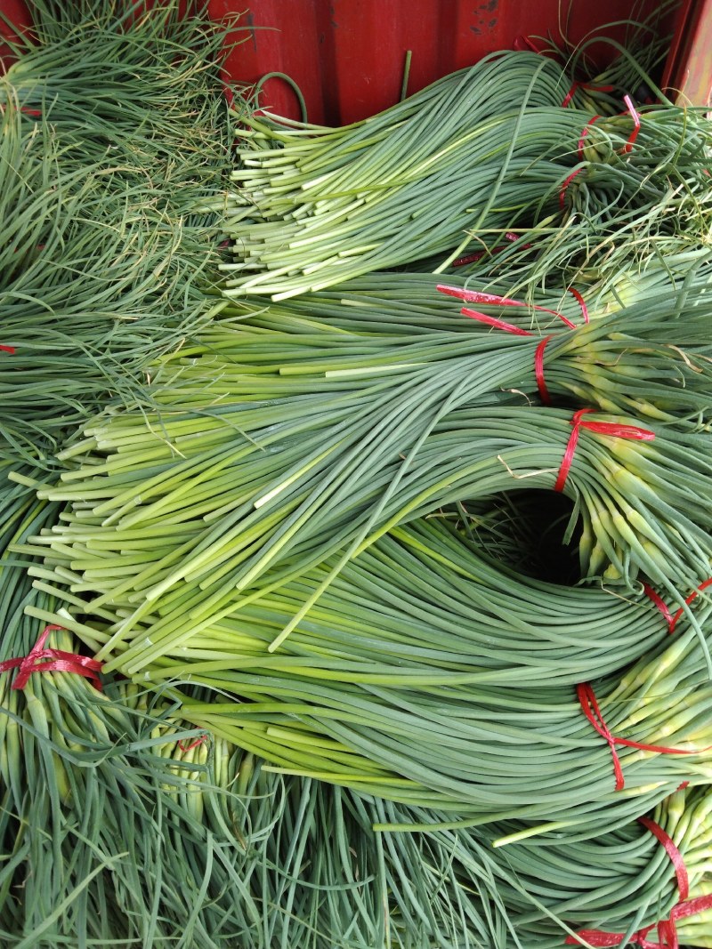 蒜薹