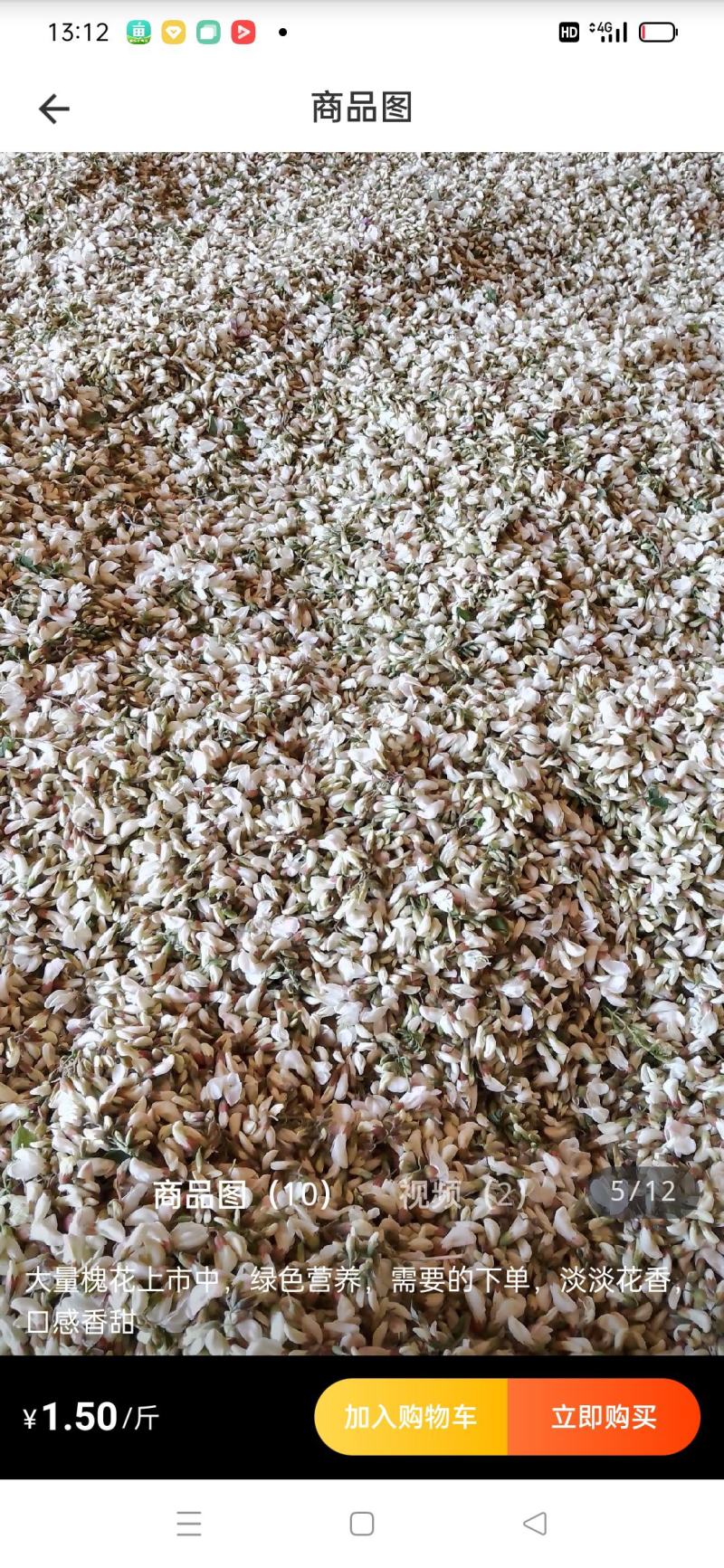 洋槐花
