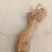 野生葛根葛根片