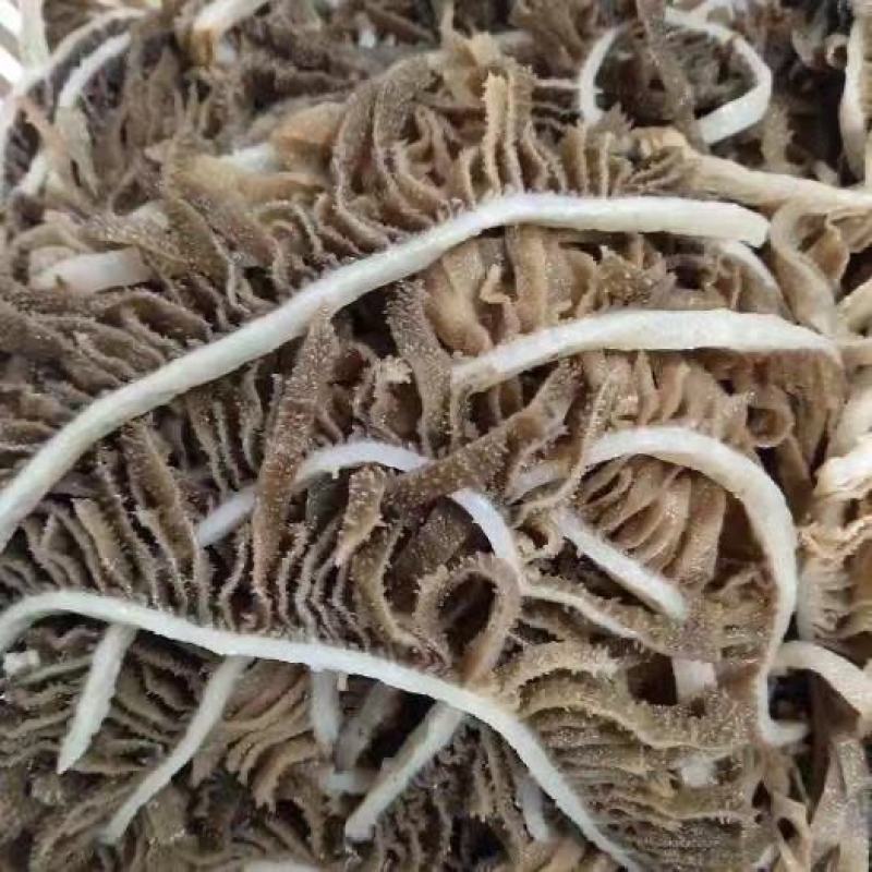 新鲜黑千层肚毛肚5斤一袋爽脆冷冻牛百叶重庆涮火锅串串食材