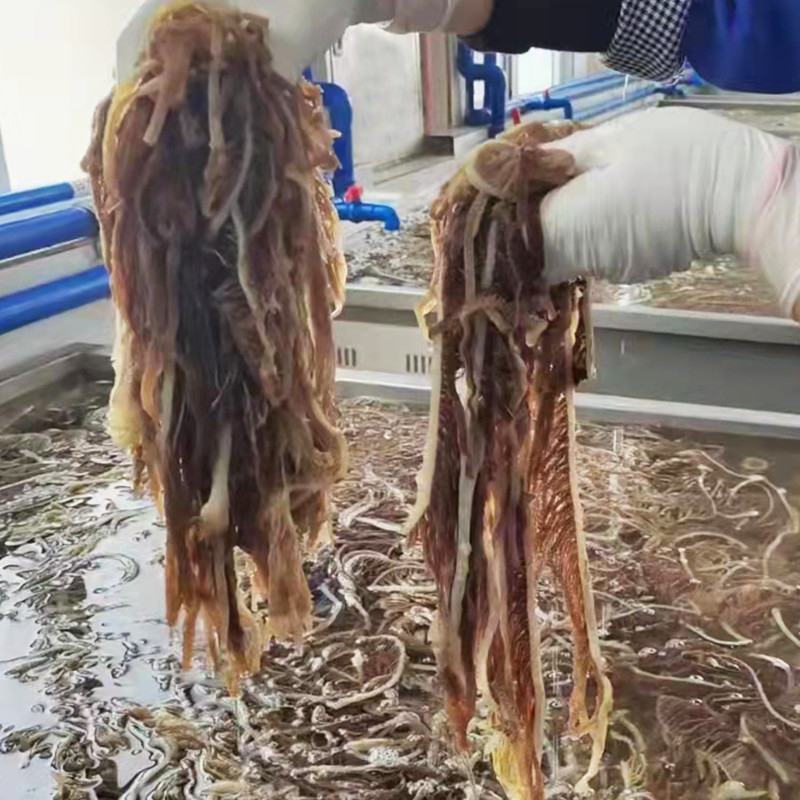 新鲜黑千层肚毛肚5斤一袋爽脆冷冻牛百叶重庆涮火锅串串食材