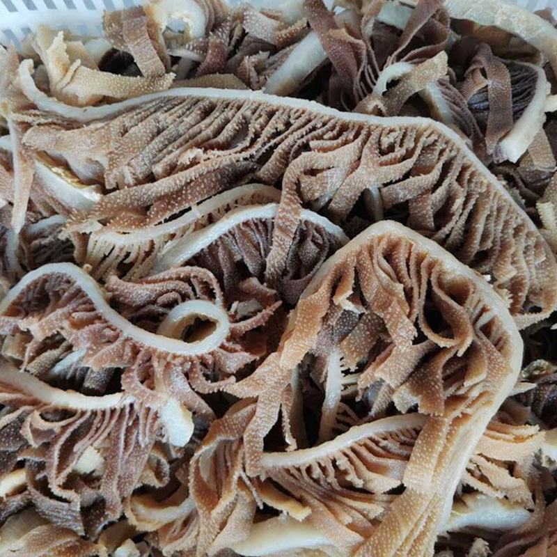 新鲜黑千层肚毛肚5斤一袋爽脆冷冻牛百叶重庆涮火锅串串食材