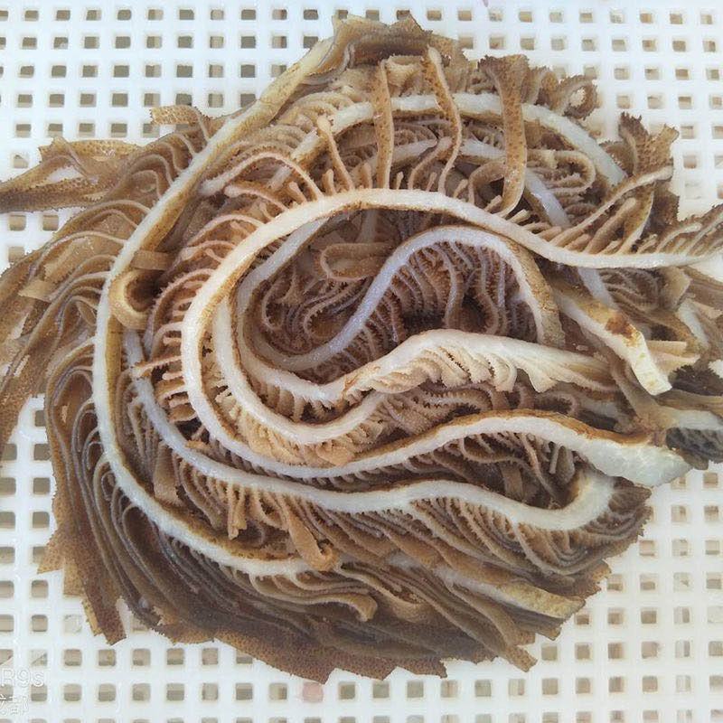 新鲜黑千层肚毛肚5斤一袋爽脆冷冻牛百叶重庆涮火锅串串食材