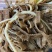 新鲜黑千层肚毛肚5斤一袋爽脆冷冻牛百叶重庆涮火锅串串食材