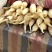 新莲藕上市鲜辣椒上市