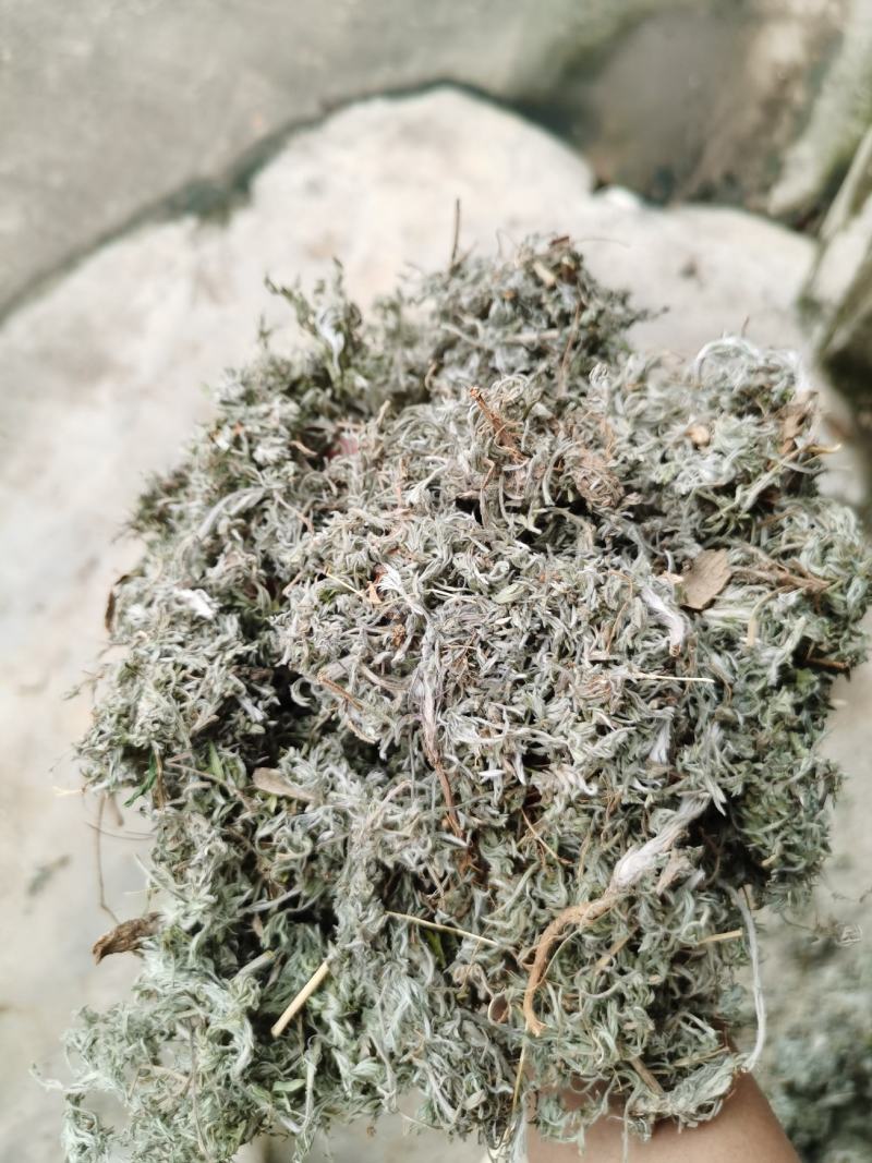 茵陈绵茵陈新货足干货颜色好，量大从优