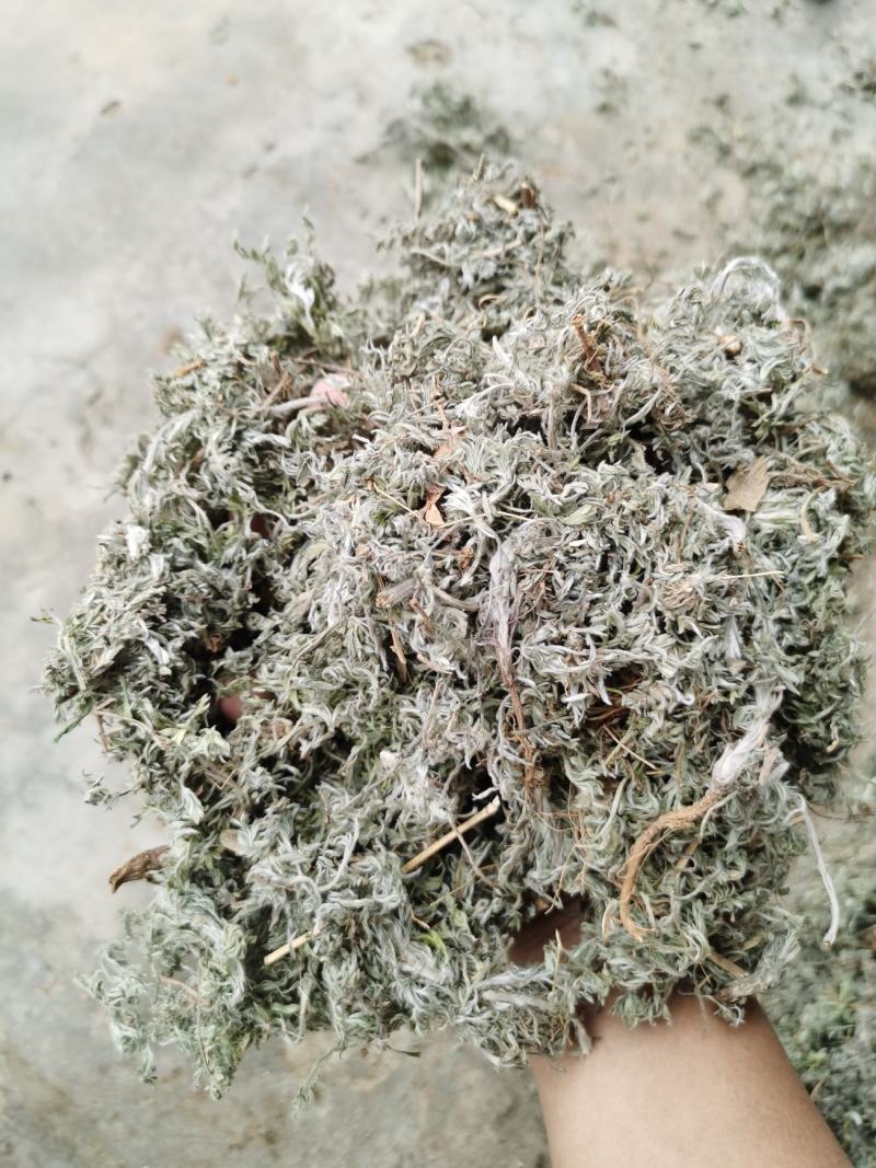 茵陈绵茵陈新货足干货颜色好，量大从优