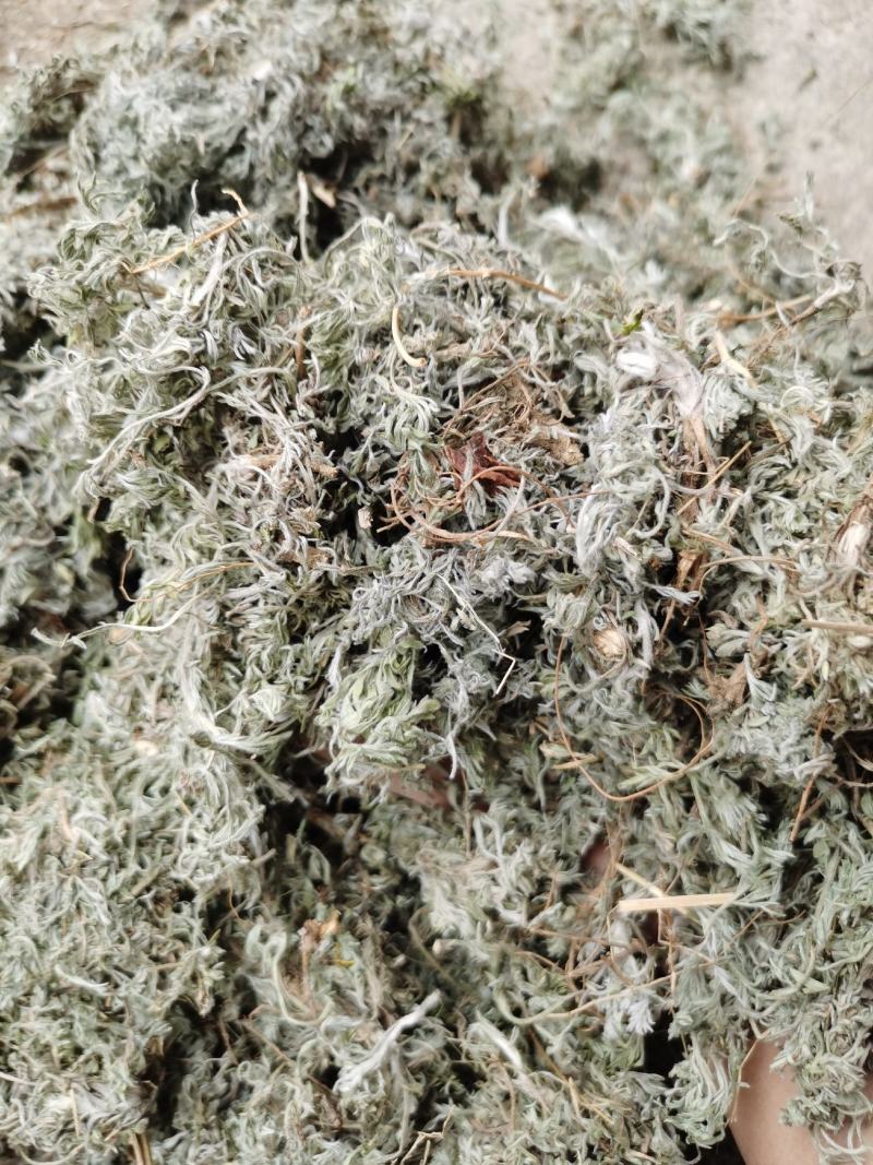 茵陈绵茵陈新货足干货颜色好，量大从优