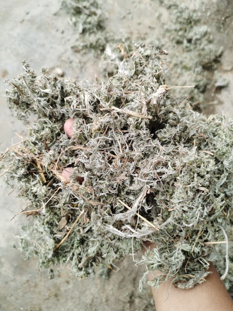 茵陈绵茵陈新货足干货颜色好，量大从优