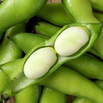 蚕豆。大豆有货。质量保证。价格便宜