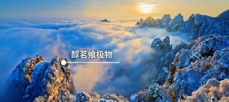 普洱生态精品黄金叶茶饼、选用头春头采的大树茶石磨压制！