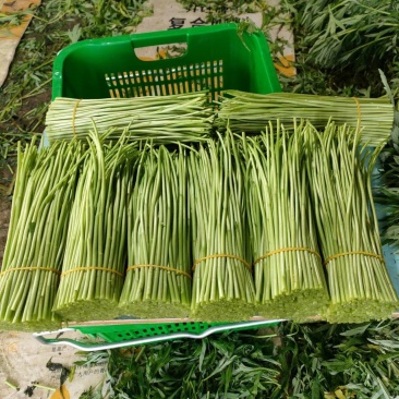 产地直发精品云南芦篙