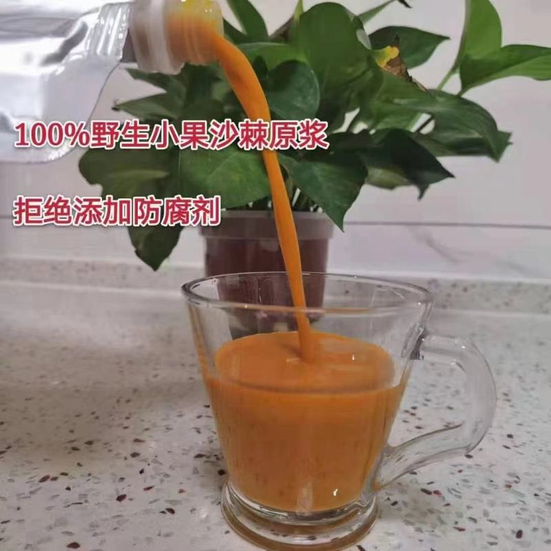 沙棘产品，野生小果沙棘原浆，沙棘果油。沙棘茶，各种沙棘苗