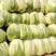白菜黄心大白菜产地直销保质保量欢迎订购。