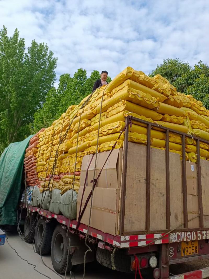 夏佳园艺定制园艺用营养钵，各种型号规格齐全厂家大量可以发