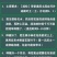 原土米兰花盆栽室内阳台庭院好养易活四季开花净化空气吸甲醛