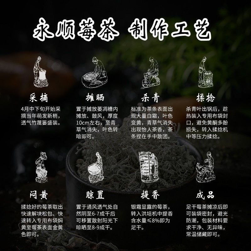 [荐]莓茶湘西永顺莓茶张家界莓茶芽尖藤茶土家族