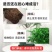 【驱蚊虫】清香木盆栽室内花卉绿植除甲醛净化空气植物提神胡
