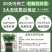 【驱蚊虫】清香木盆栽室内花卉绿植除甲醛净化空气植物提神胡