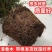 【驱蚊虫】清香木盆栽室内花卉绿植除甲醛净化空气植物提神胡