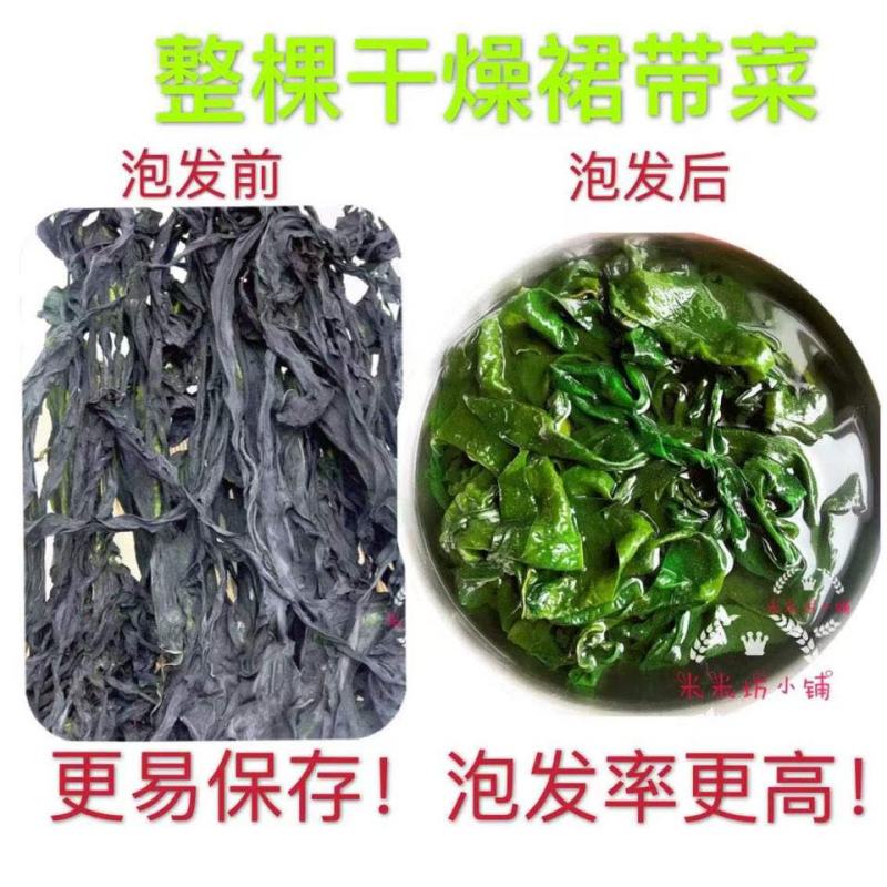 裙带菜整棵裙带菜三证齐全质量保证支持代发大量批