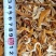 四川瓜蒌丝，纯无硫，黄瓜蒌丝，量小清仓特价