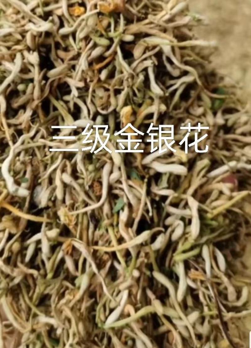 巨鹿金银花批发销售