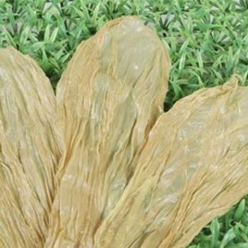 豆筋桐柏豆筋是河南省南阳市桐柏县的特产。桐柏豆筋“色如金