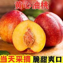 【精品】千年红油桃脆甜可口产地直销对接产地电商社群