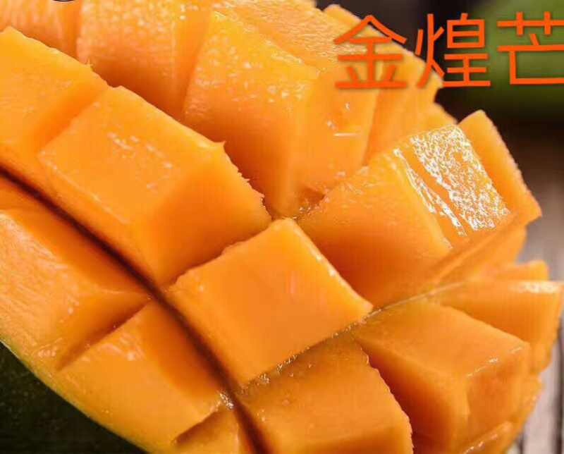 广西·金煌芒｜热带水果