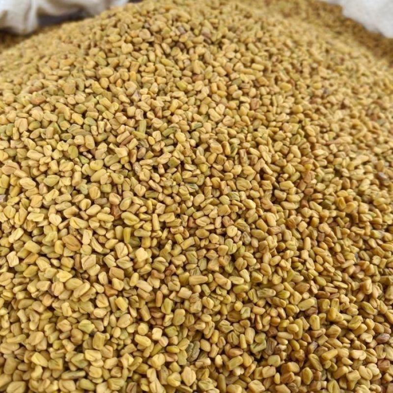 芦巴子药用芦巴子葫芦巴货好需要多少下单就可以了