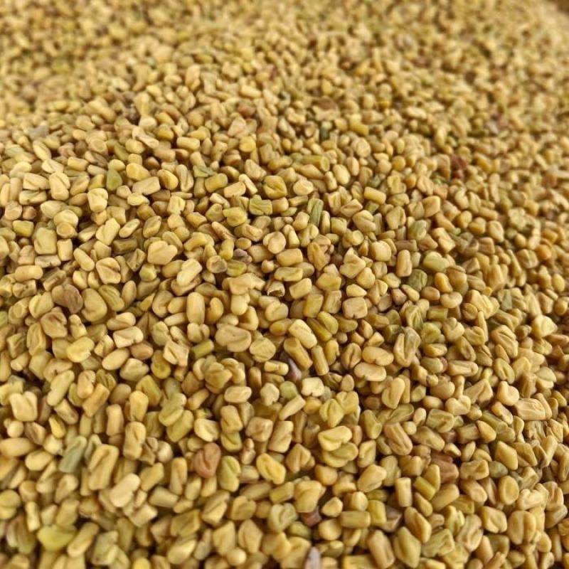 芦巴子药用芦巴子葫芦巴货好需要多少下单就可以了