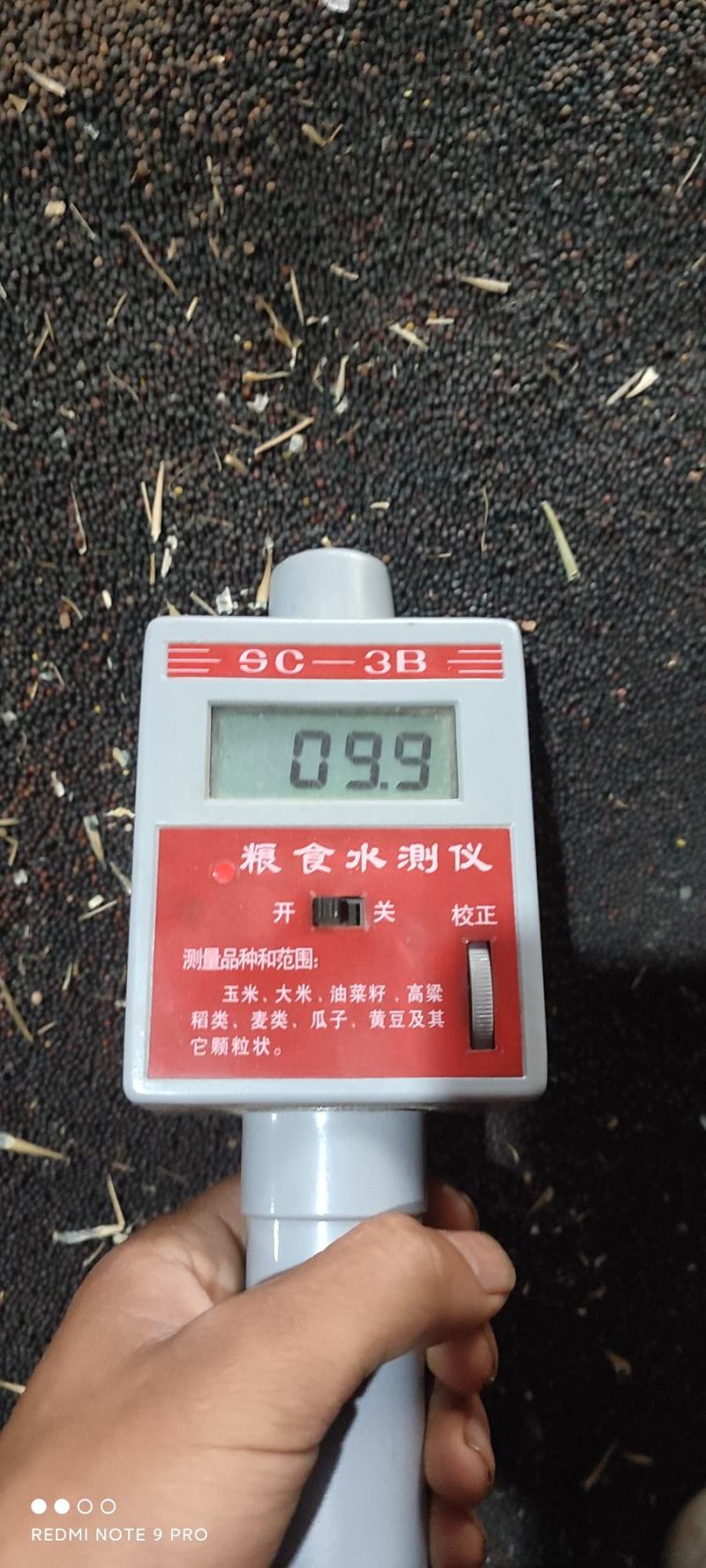 简阳油菜籽