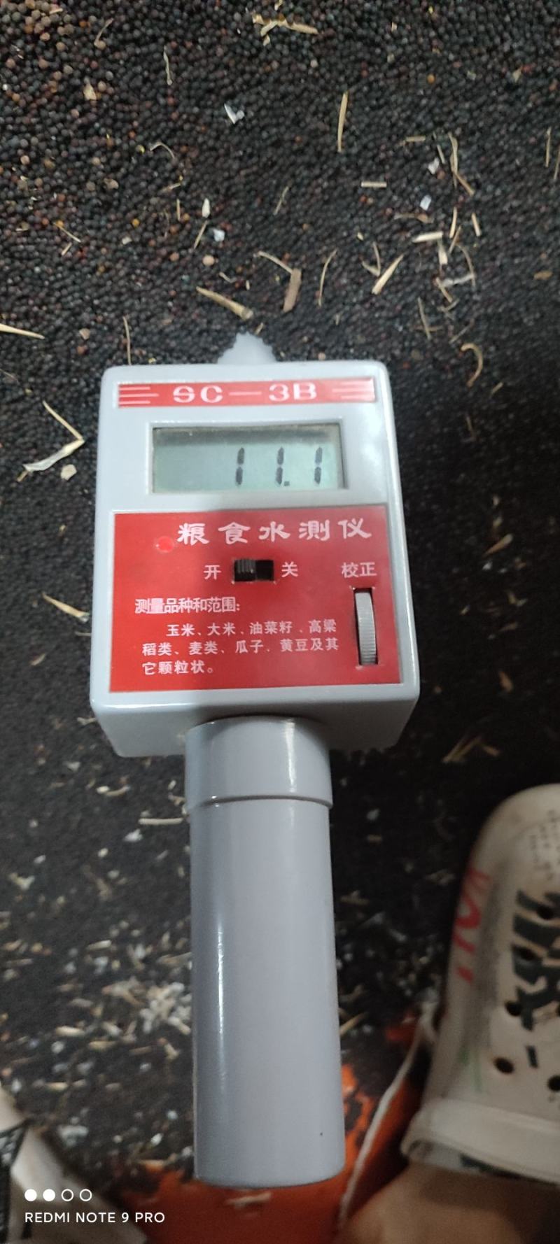 简阳油菜籽