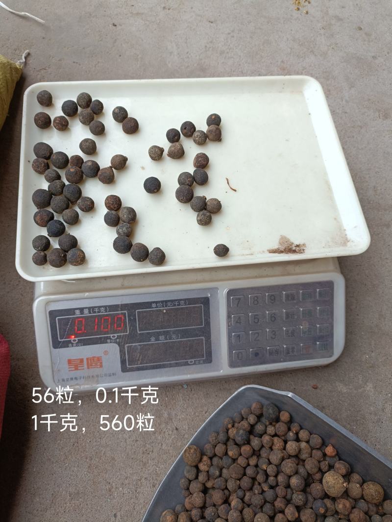四川主产区，含量好枳实个，有大、中、小几个规格