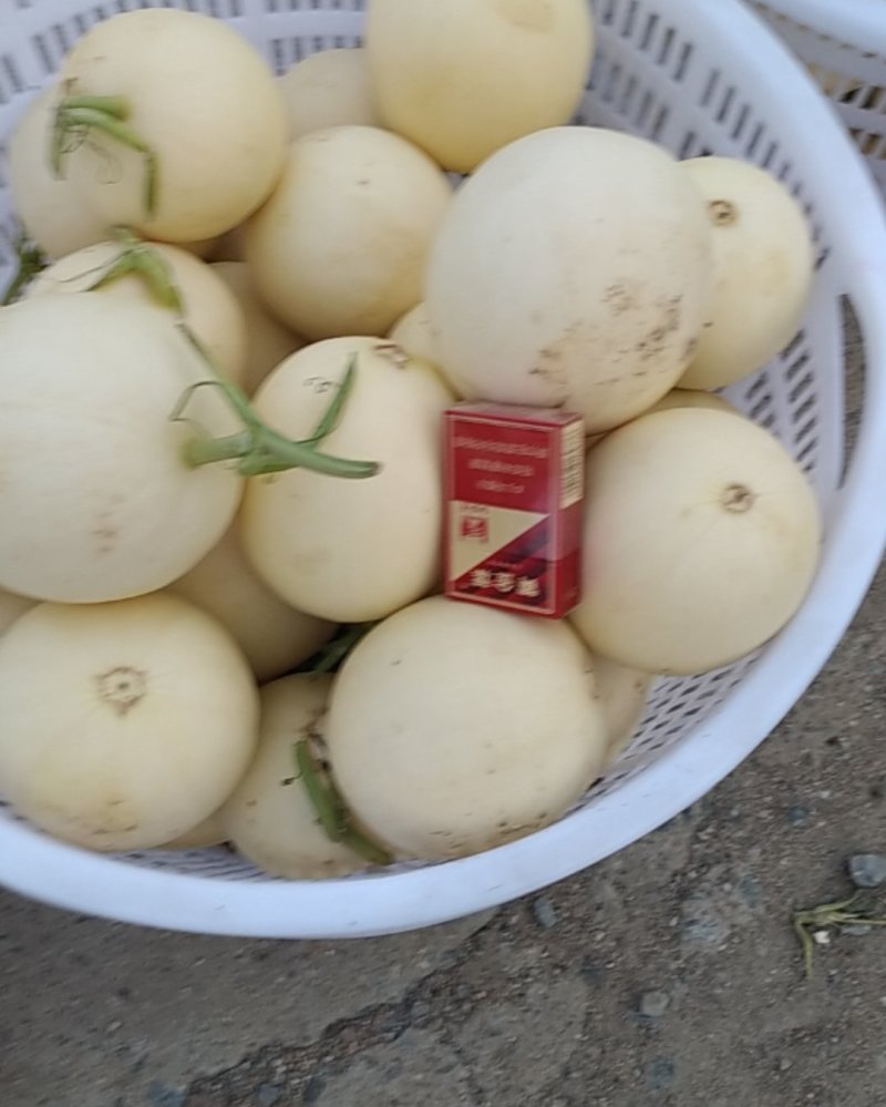 上蔡甜红玉