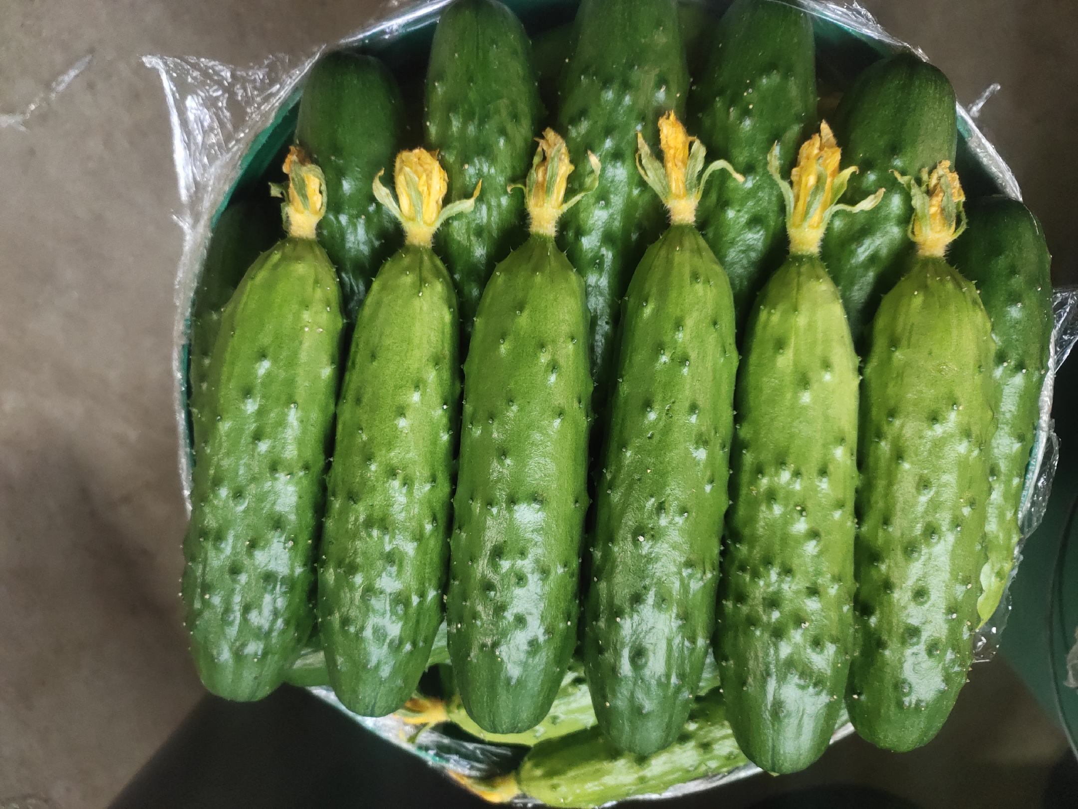 旱黄瓜切开后,展示其内部结构,果肉洁白、籽粒细小,质地细腻 旱黄瓜切开内部结构展示