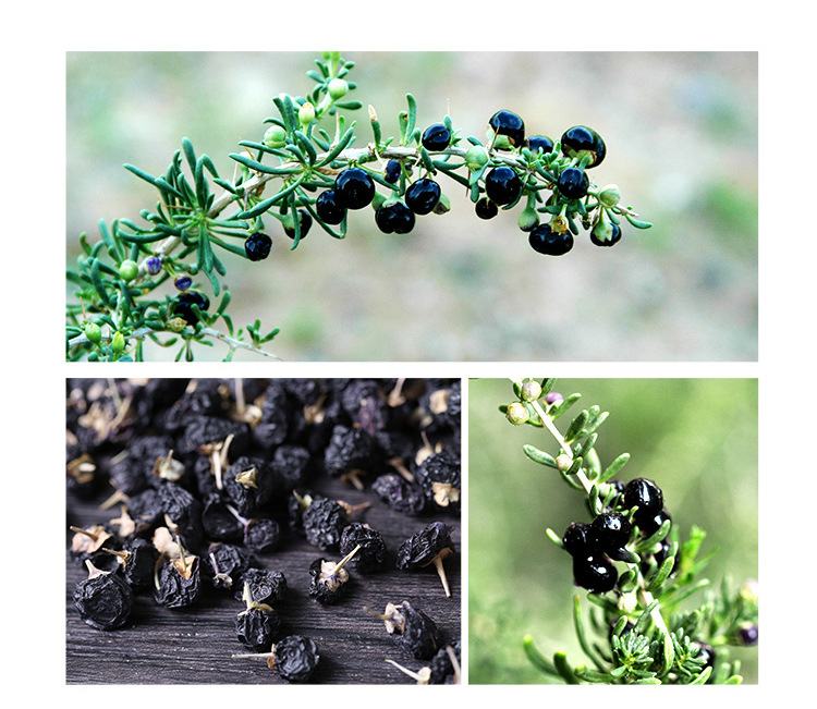 展示一颗完整的黑枸杞果实与从中取出的种子,清晰展示其结构 黑枸杞果实与籽的对比图