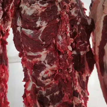 冷鲜牛肉！无注水纯干牛肉！