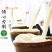 产地销黄秋葵挂面蔬菜面可批发面