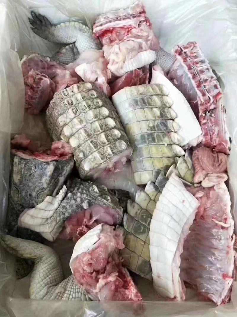 商品鳄鱼肉批发，养殖基地直发，量大优惠
