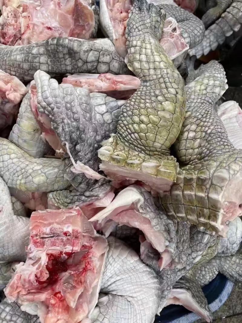 商品鳄鱼肉批发，养殖基地直发，量大优惠