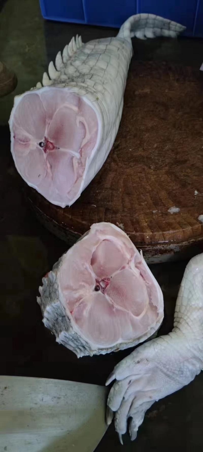 商品鳄鱼肉批发，养殖基地直发，量大优惠