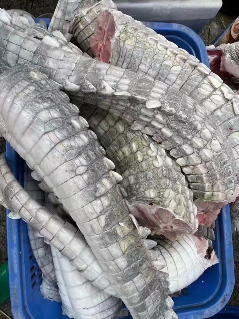 商品鳄鱼肉批发，养殖基地直发，量大优惠