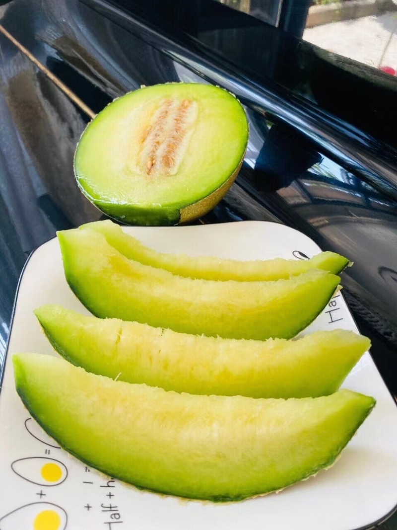牛商推荐海阳网纹瓜，质量保证，现摘现发