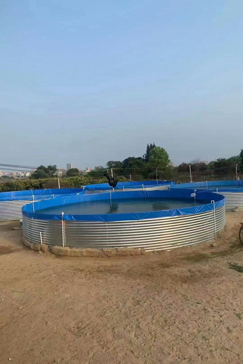 高密度镀锌板养殖桶全套一体化水产养殖支持全国货到付款